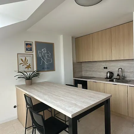 アパート Comfort 2br ピエシュチャニ